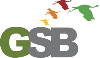 logo de gsb